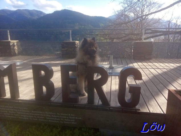 19.4.2025 - Kulturfolger